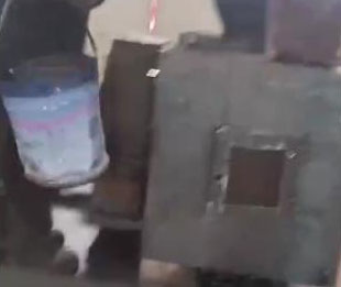 Operation video of ball press machine
